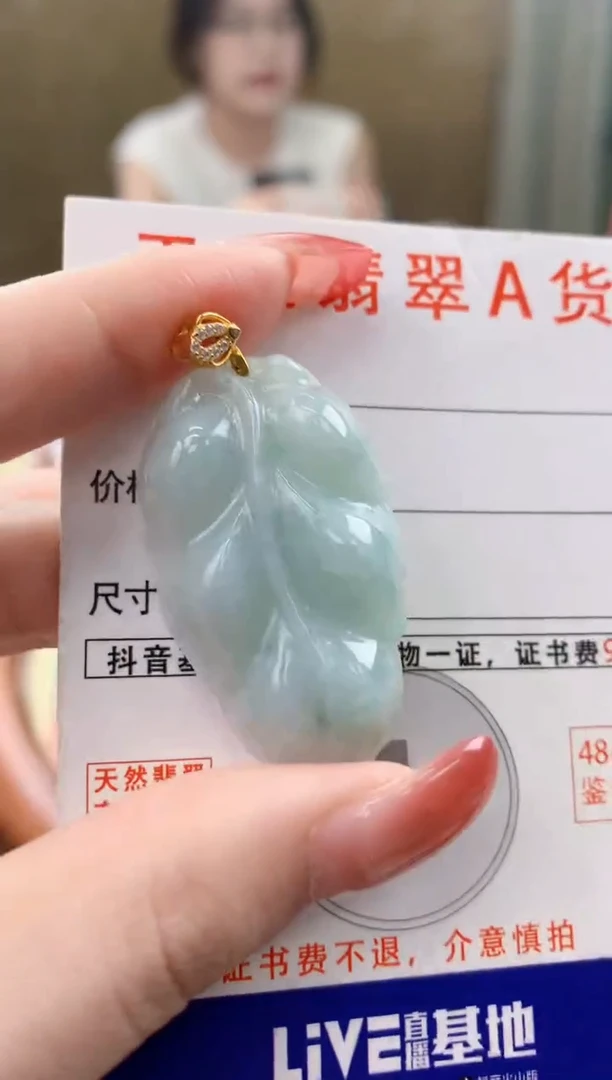 颈饰未镶嵌翡翠 天然A货翡翠挂件