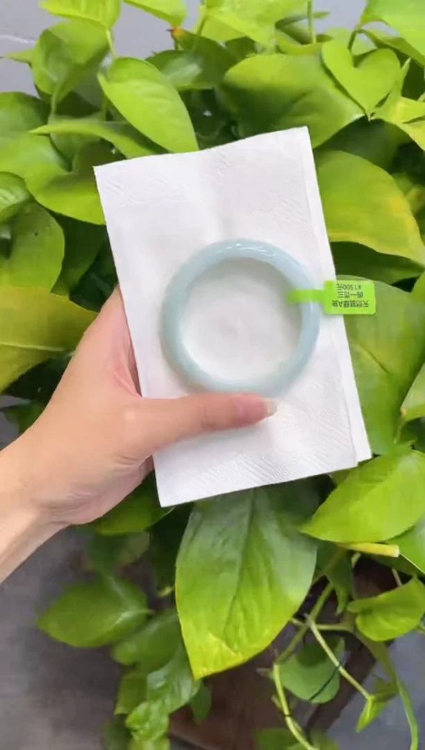 未镶嵌手镯翡翠0000072204