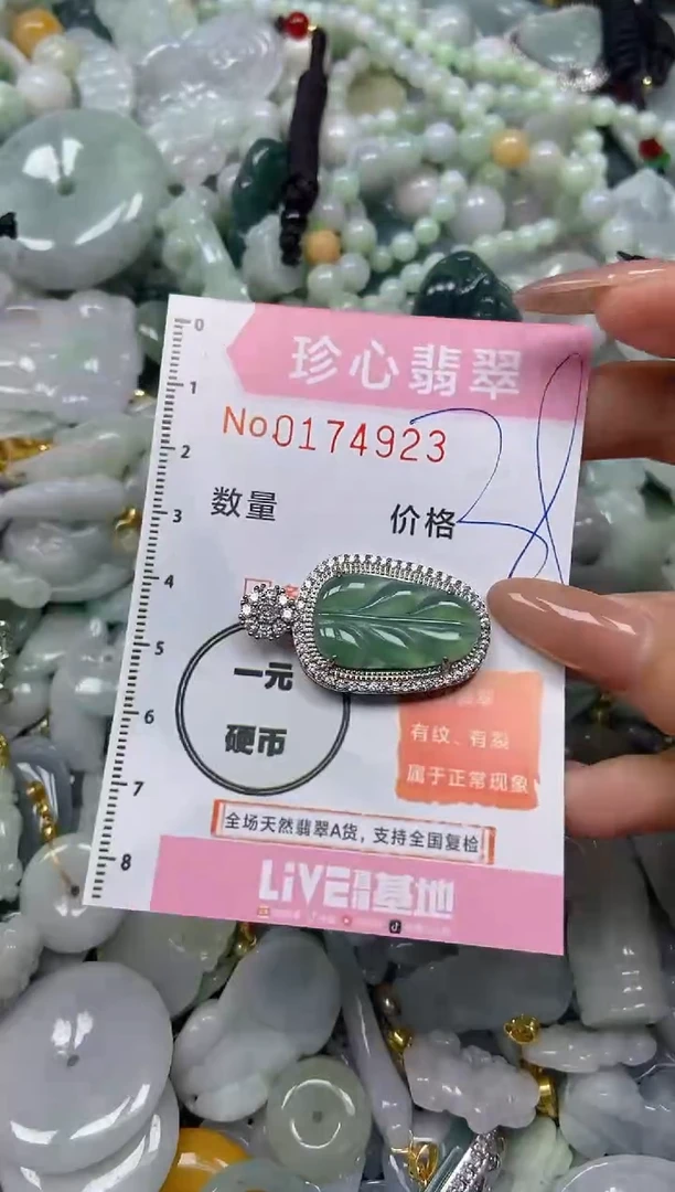 【闪购商品】翡翠颈饰未镶嵌闪购0174923