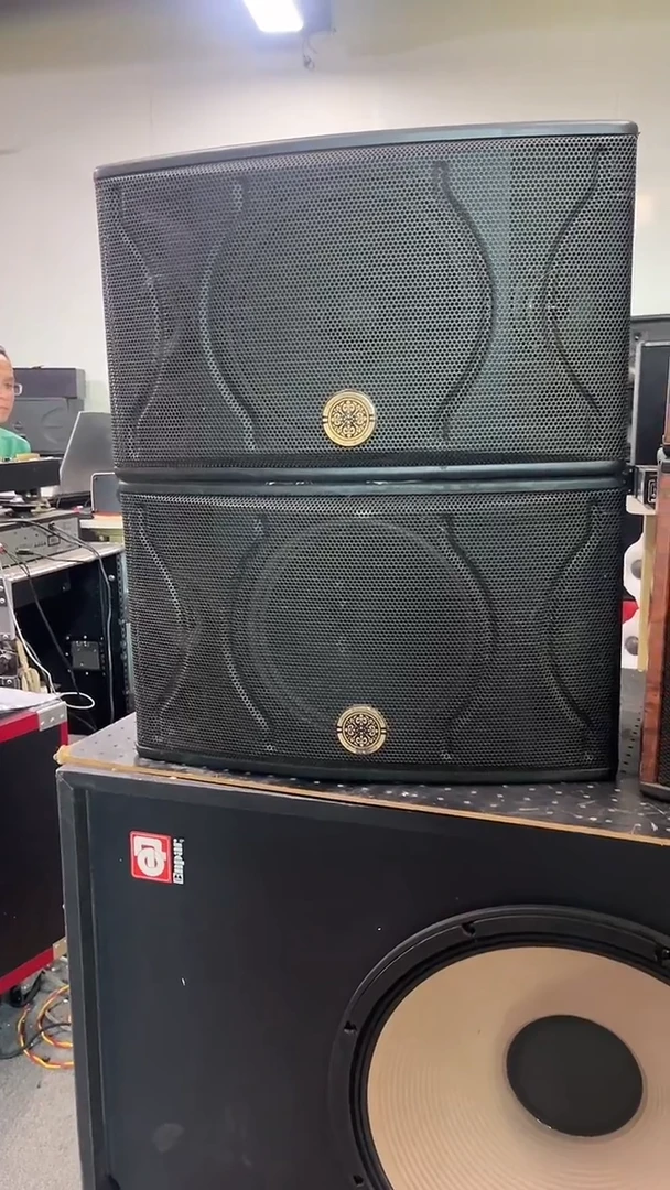 8新不包邮 10寸卡包音响  KTV音箱一对   运费到付