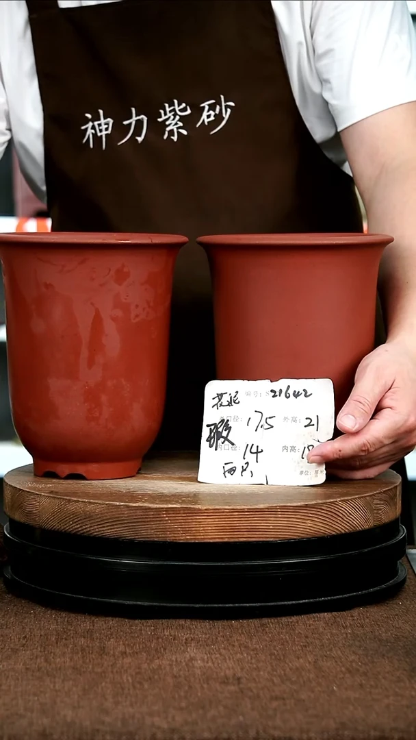 紫砂花盆花卉园艺21642