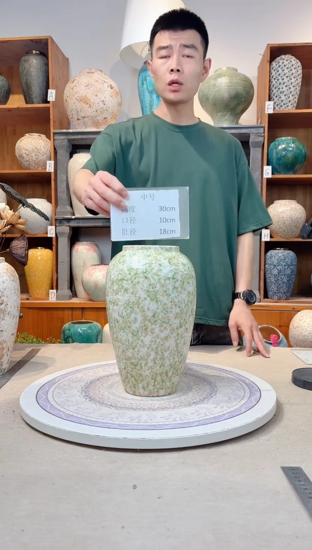 瓶陶瓷花瓶  春意盎然 中号  正品