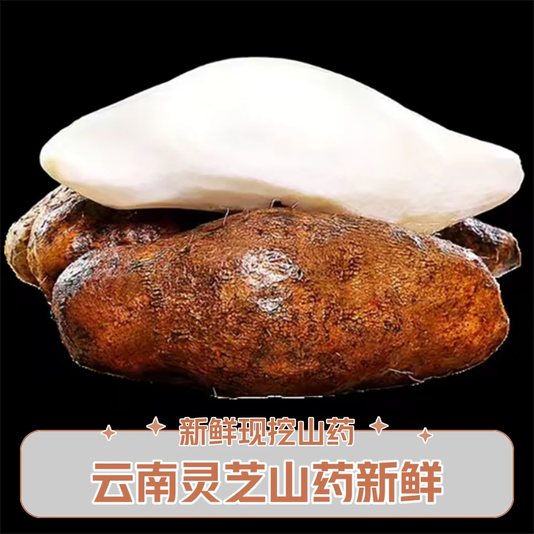 云南灵芝山药正宗农家自种当季新鲜软糯面香