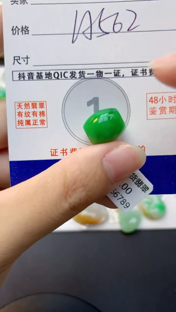 颈饰未镶嵌翡翠天然缅甸A货翡翠