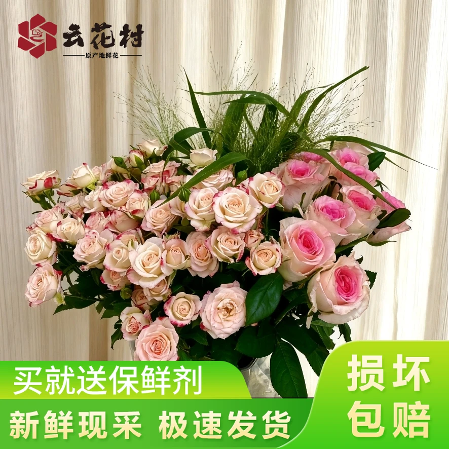 【洛神10支+折射多头泡泡玫瑰10支+配草1扎】任意两件升级顺丰套餐