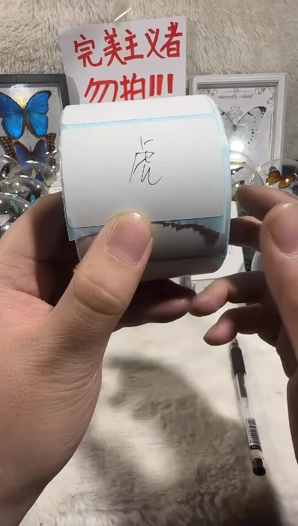 木丽佳蝶