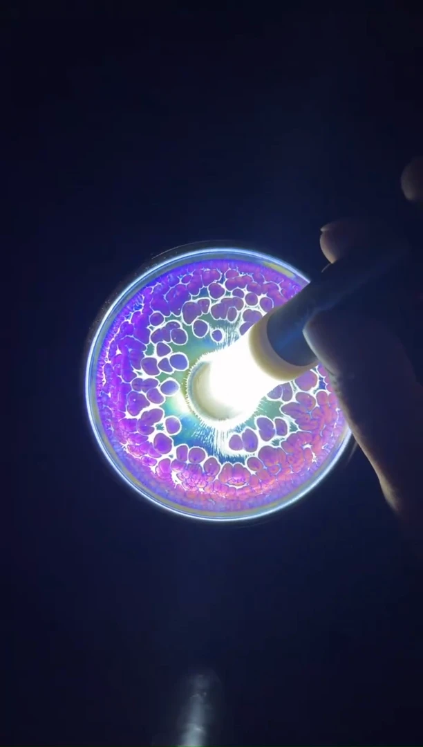 茶盏徐长和老师作品