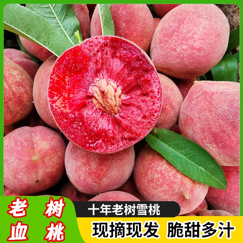 正宗新鲜血桃5斤湖北红心脆桃应季整箱水果毛桃包邮桃子现摘现发