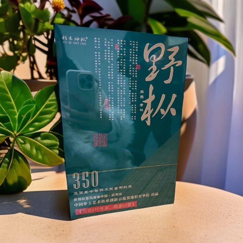 【武夷岩茶】朽木神枞 野枞