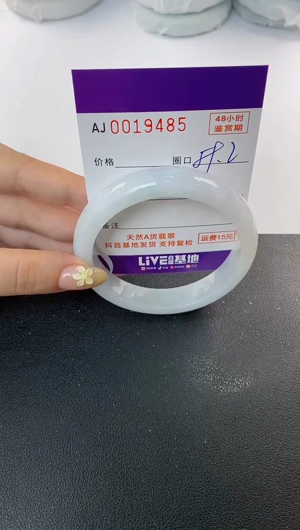 未镶嵌手镯翡翠天然A货翡翠