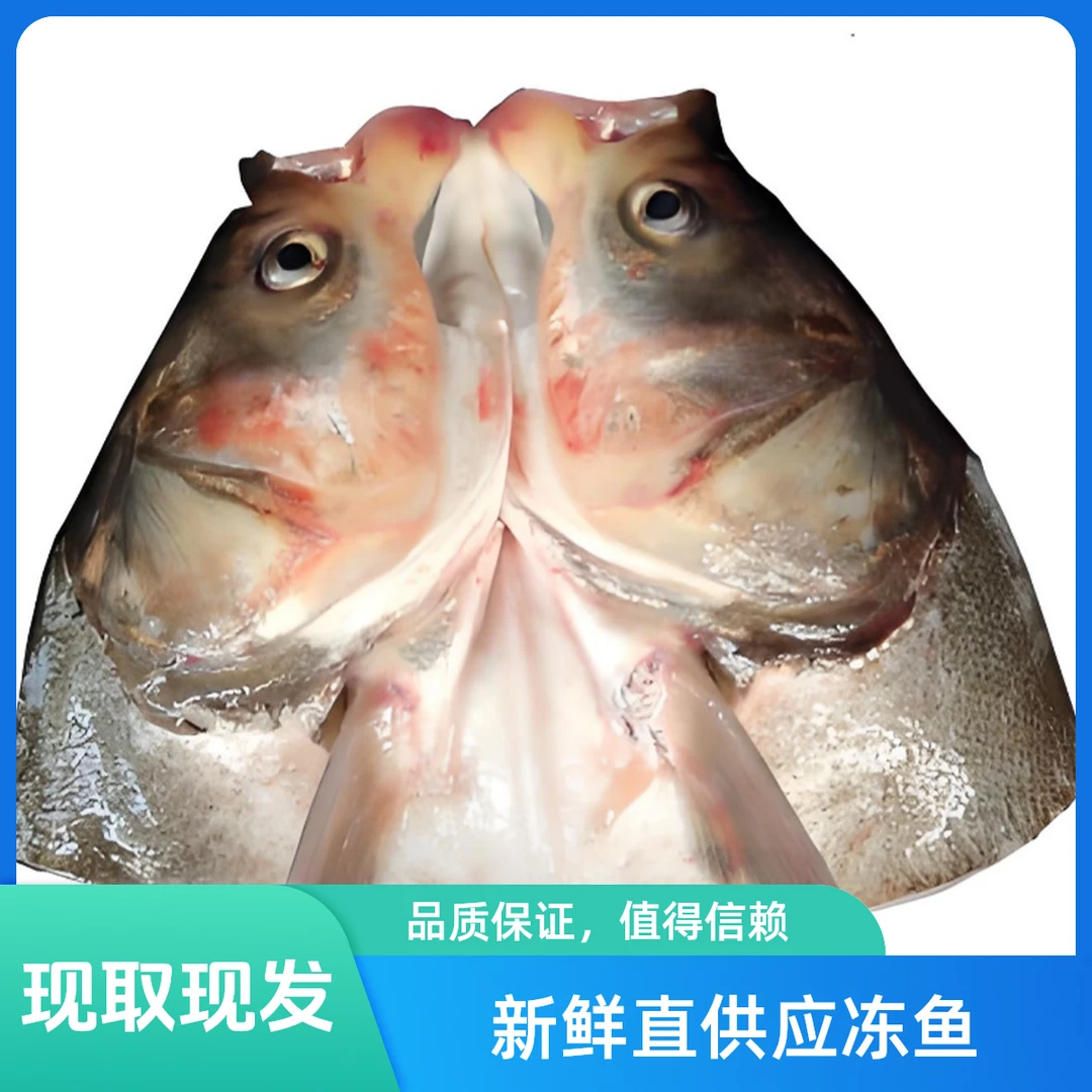 现取发货《厂家直销》活鱼头现杀新鲜鱼头胖头鱼鱼头豆腐汤家常做法