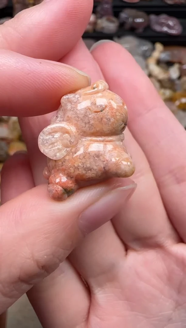 颈饰未镶嵌硅化珊瑚（珊瑚玉）820