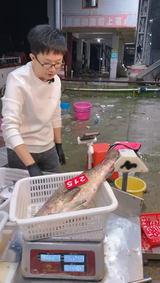 中国大陆老*a斑鱼1111111111111