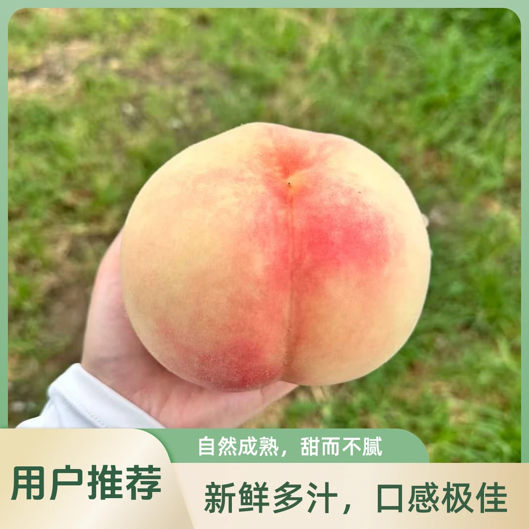 普通包装自己吃顺丰包邮大果好吃包甜水分充足无锡水蜜桃当季水果4-6斤坏果包赔桃子同城送江苏省