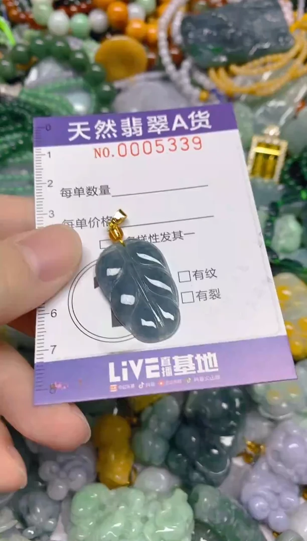 颈饰未镶嵌翡翠0005339