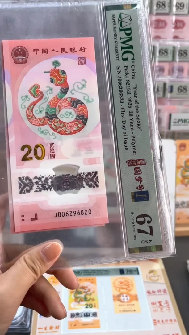 塑料蛇钞 67分 J006293820