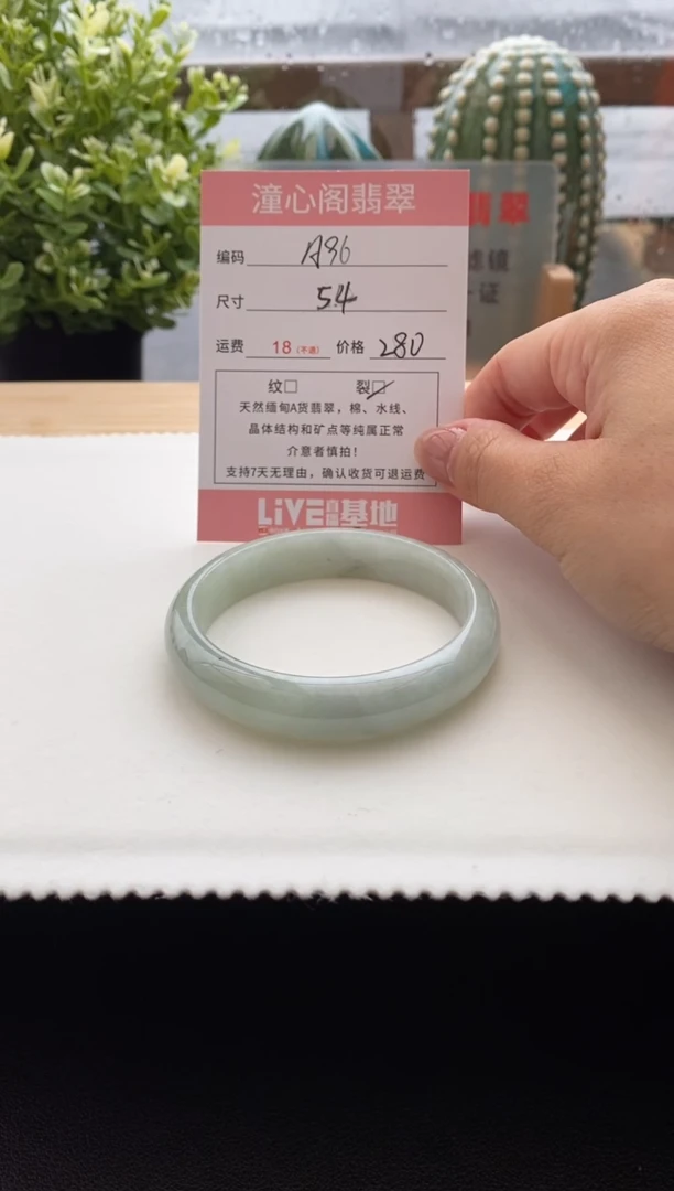 未镶嵌手镯翡翠54.2圈口 编码A96