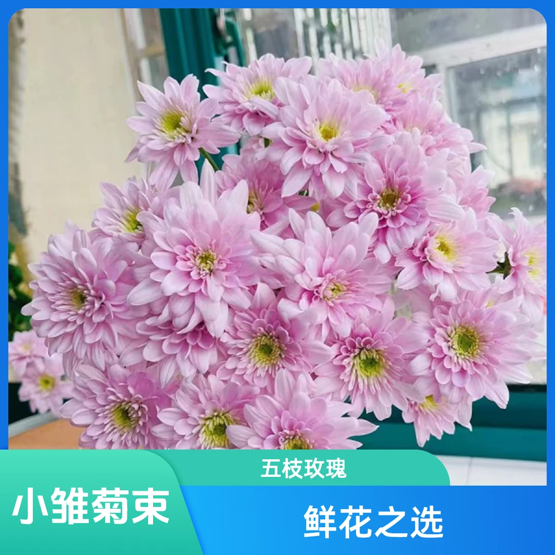 【5枝杜鹃小雏菊】全店满35元包邮小雏菊生活鲜花居家花