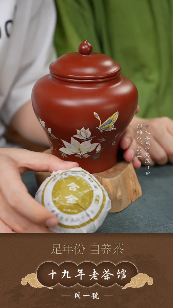 原矿紫砂醒茶罐+3沱含金
