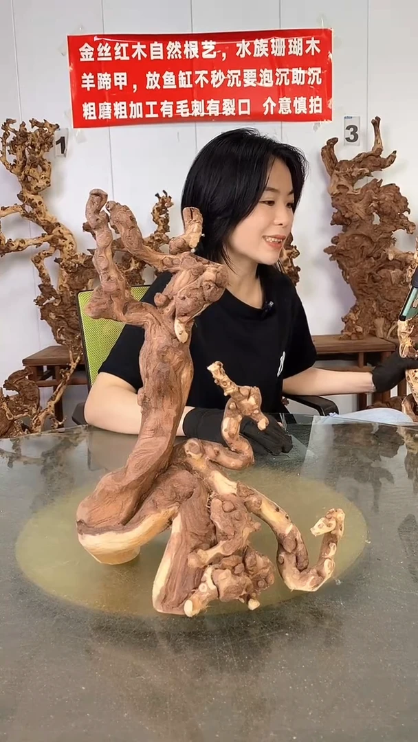 香榧木金丝红木 羊蹄甲