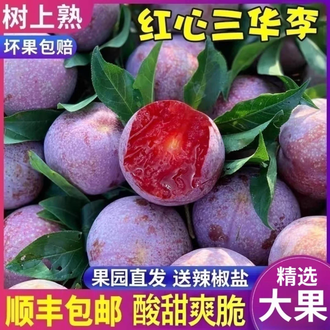广东钱排红心三华李新鲜现摘酸甜脆口夏日必备水果