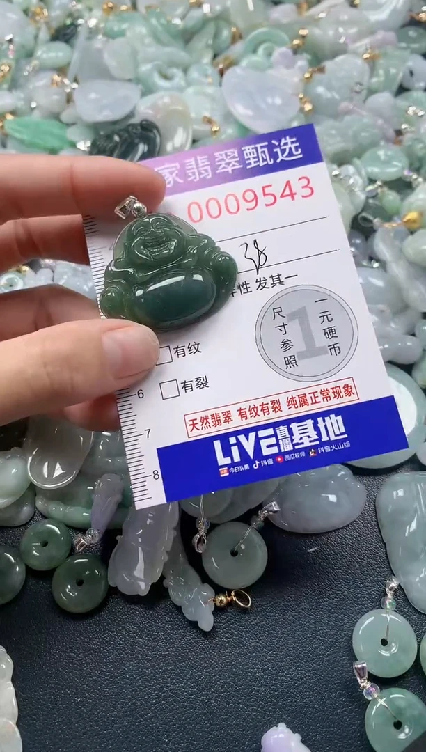 吊坠(不含链)未镶嵌翡翠9543