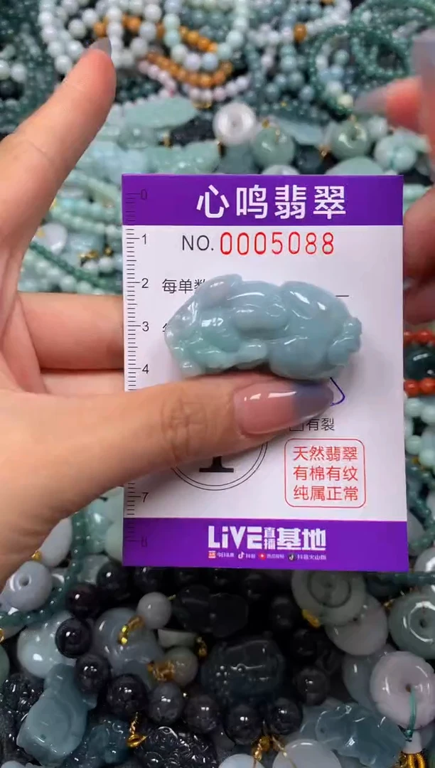 颈饰未镶嵌翡翠闪购005088