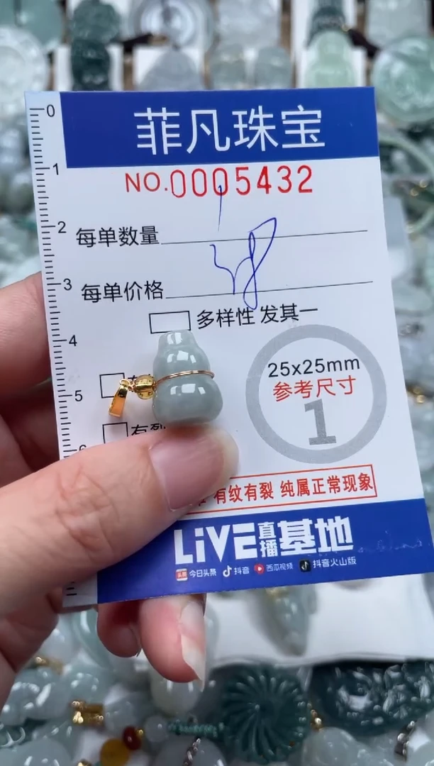 翡翠未镶嵌颈饰00..5432