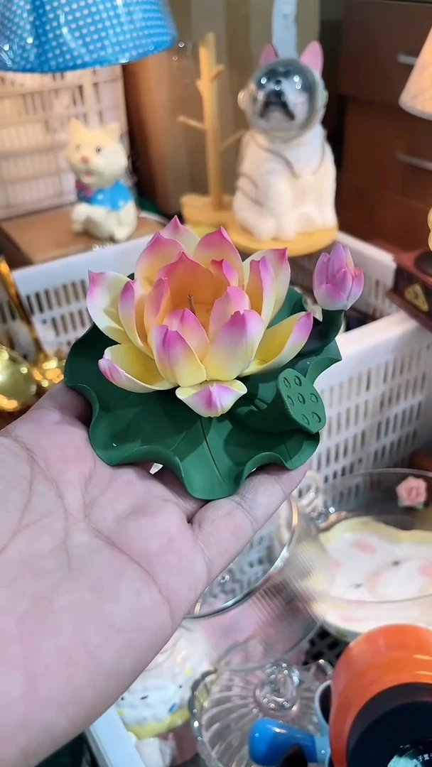 瓷片 ,开播福利款,拼手速