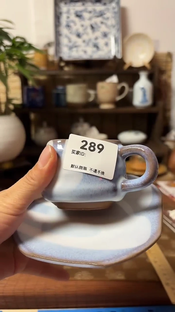 【闪购商品】瓷片喵喵家都是大漂亮