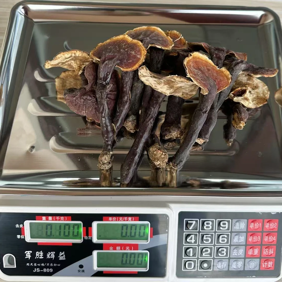 西藏高原山货小灵芝煮水煲汤泡酒100g/袋包邮