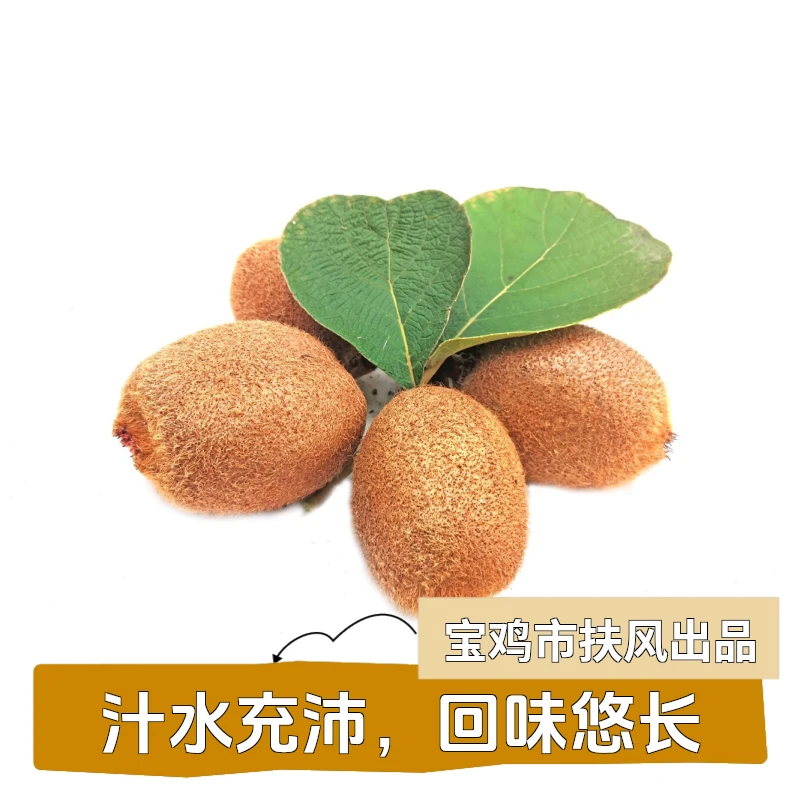 猕恋你香甜新鲜瑞玉猕猴桃新鲜产地直销果肉大果多汁早餐宿舍助农