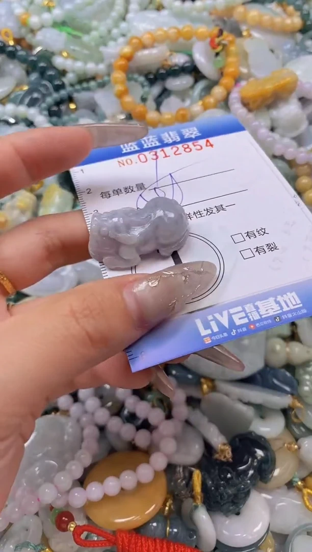 翡翠未镶嵌颈饰闪购0312854