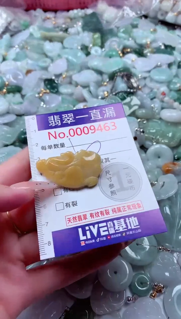 翡翠未镶嵌吊坠(不含链)9463