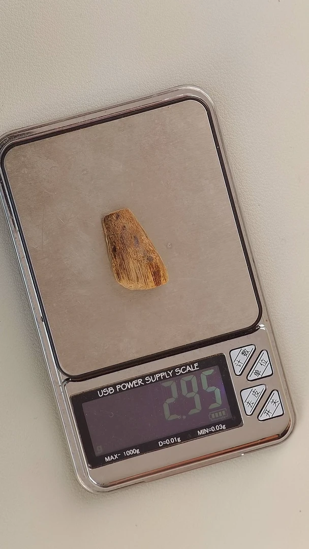 【闪购商品】沉香吊坠菲律宾莱特土沉2.9g