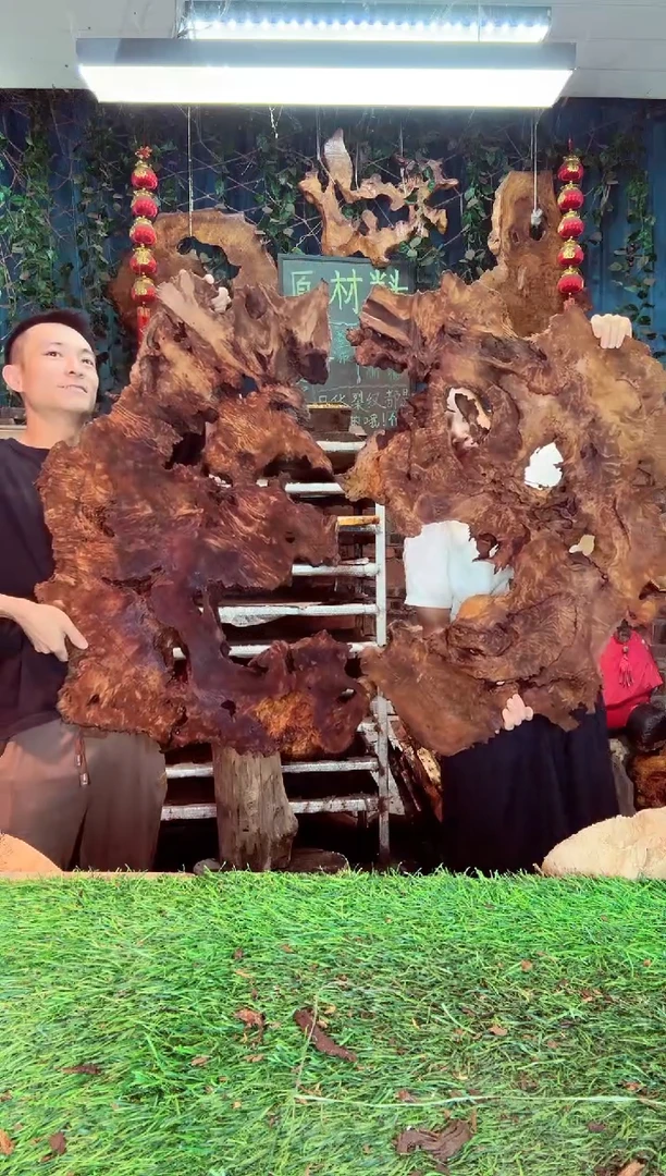 香杉木香衫树根榴144