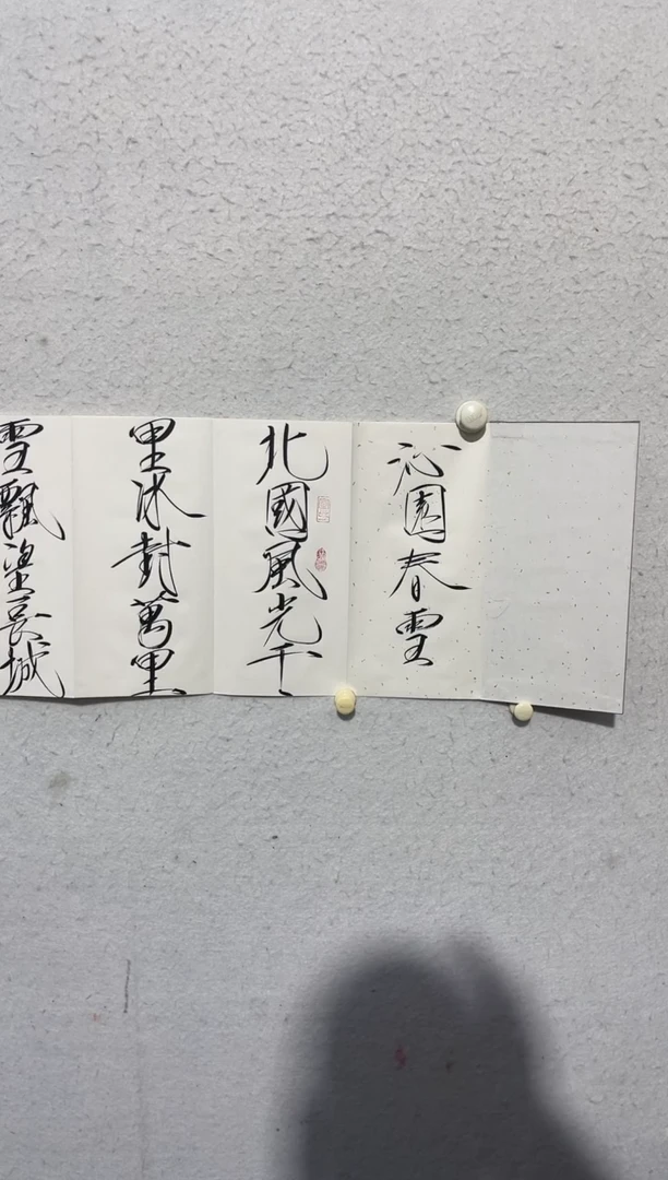 【闪购商品】书法姚老师书法册页2222北国风光