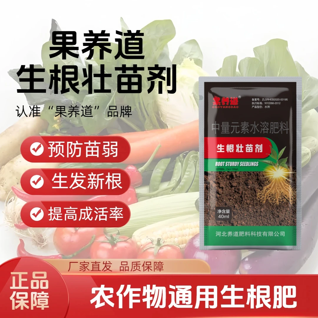 果养道生根壮苗剂根多无激素纯生物增产爆根水溶肥生根养根防早衰