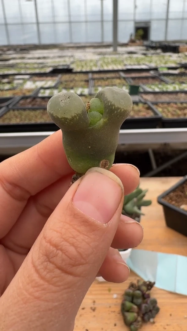 【闪购商品】24-57