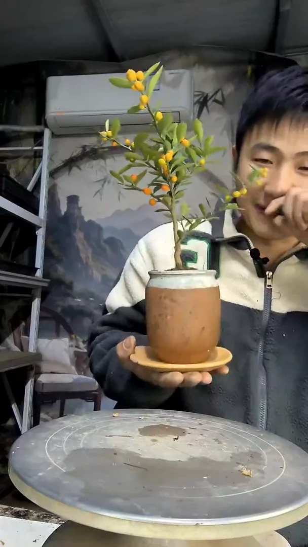 星**?中青园艺一物一拍花439