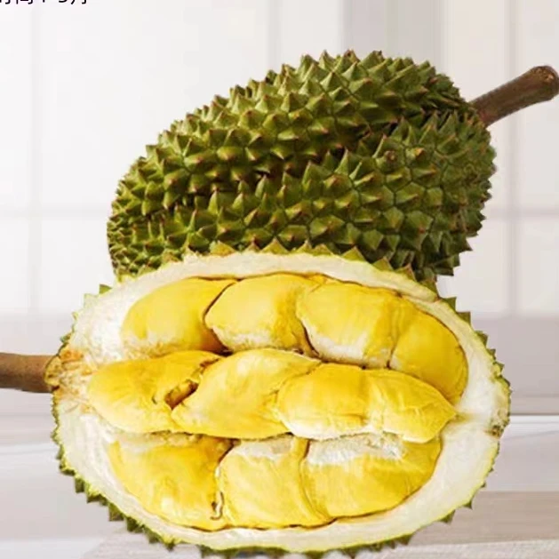 【青尼王一物一拍C】泰国进口A级青尼王榴莲新鲜整果干耗10%左右