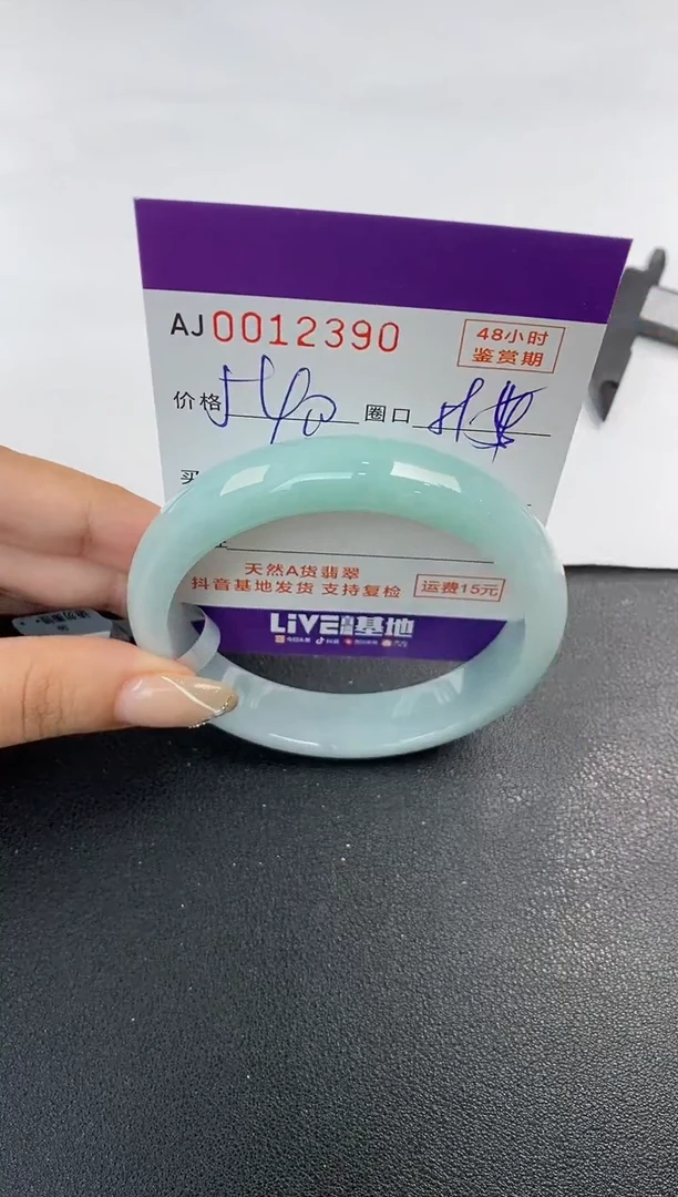 未镶嵌手镯翡翠天然A货翡翠