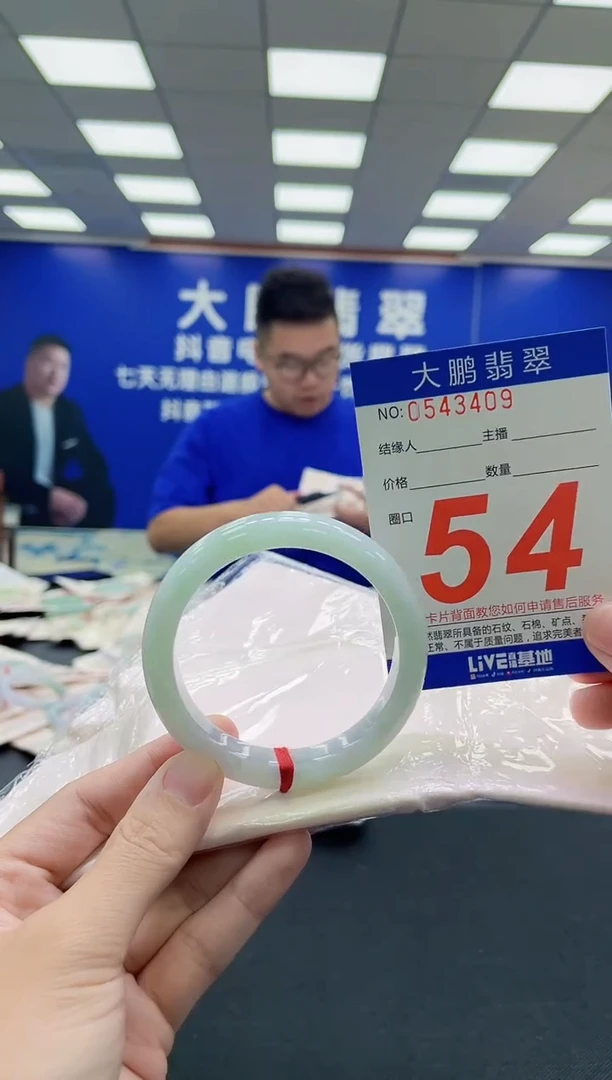 未镶嵌手镯翡翠AAAAAAAAA