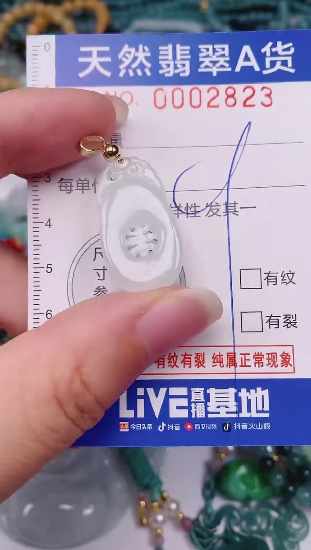 颈饰未镶嵌翡翠00002823