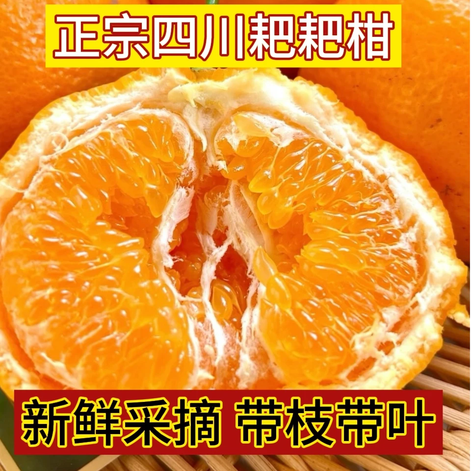 【果园直发】四川浦江春见耙耙柑新鲜应季水果颗颗饱满坏果包赔