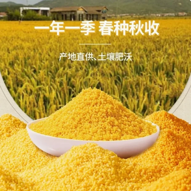 【吴妹专属】   米类 小米