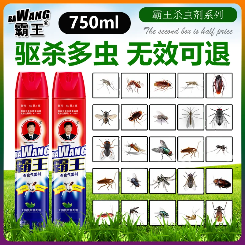 霸王750ml杀虫剂气雾剂家用室内杀蟑螂灭蚊子苍蝇药官方旗舰店