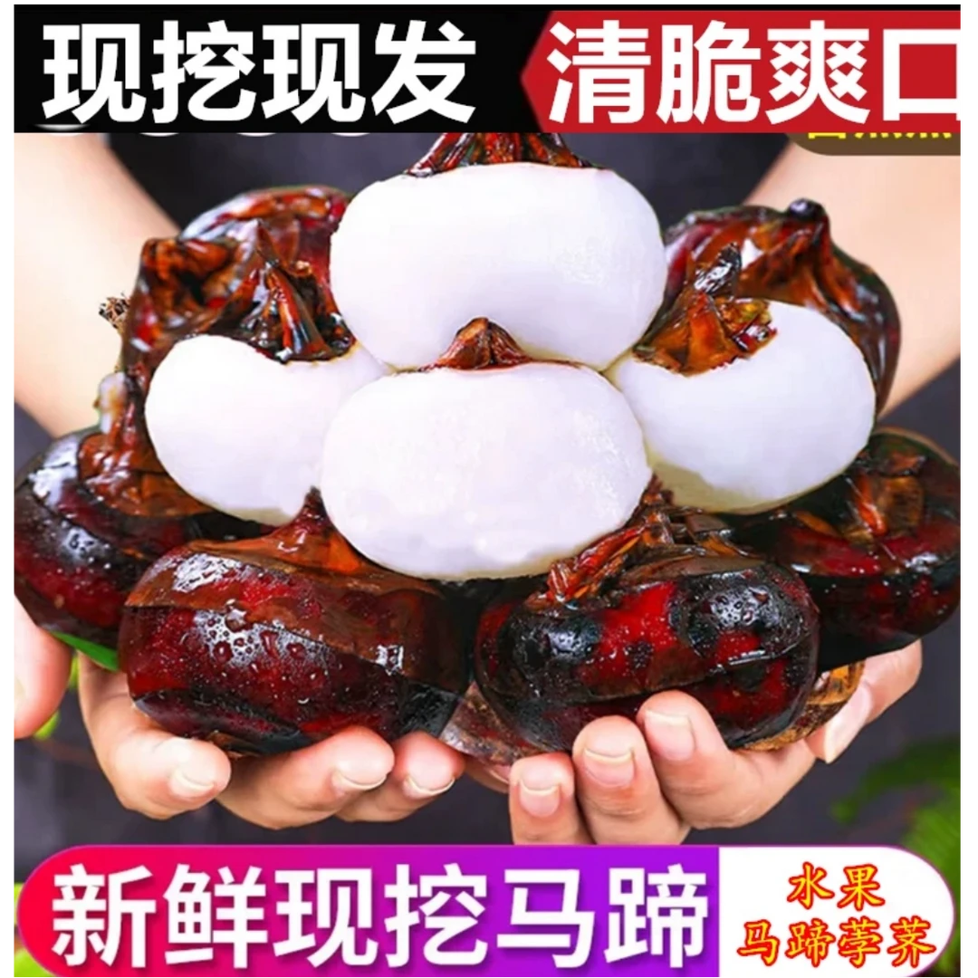 湖北新鲜水果马蹄荸荠地梨农家现挖红皮马蹄清甜脆甜爽口B
