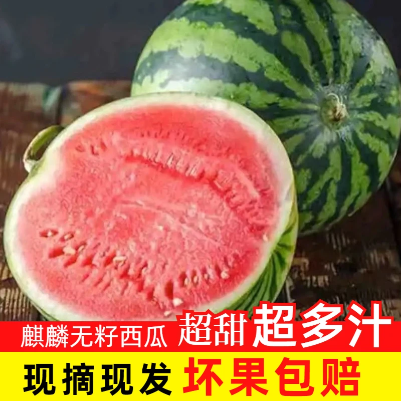 正宗广东麒麟西瓜粉心美都爆甜多汁盐碱地西瓜甜度更高