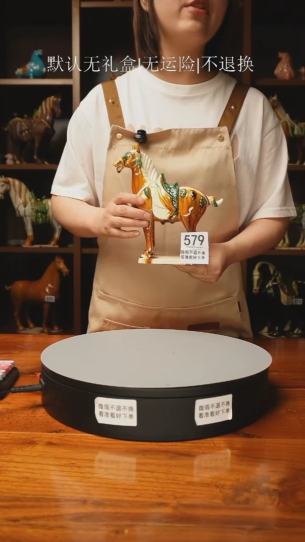 579  经典唐马 高21